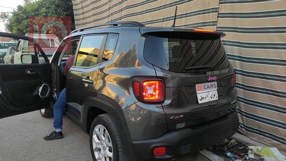 جيب رينيجيد